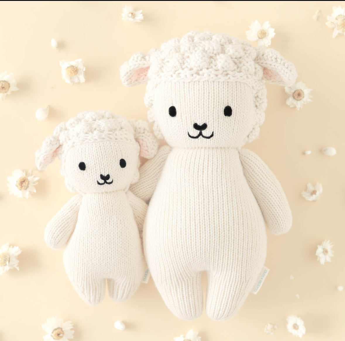 Baby lamb