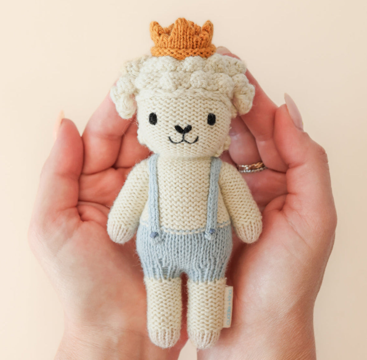 Tiny Sebastián the lamb