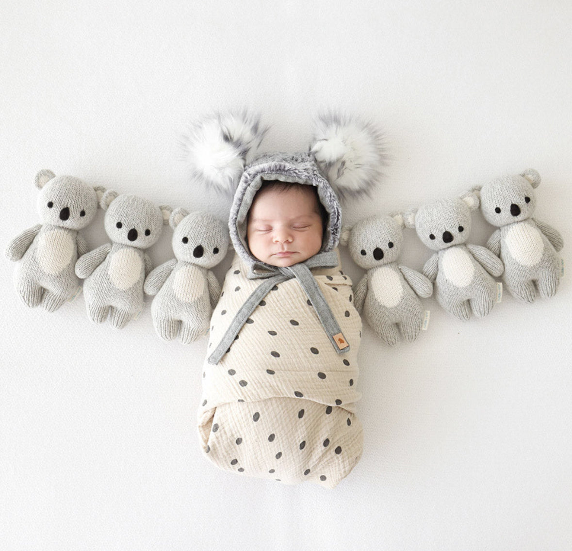 Baby koala