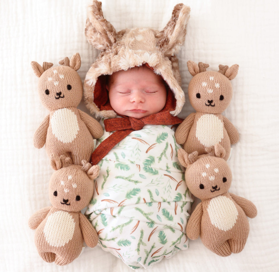 Baby fawn