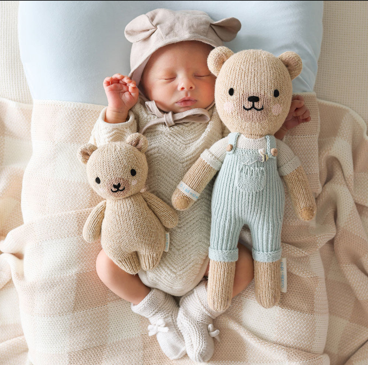 Baby honey bear