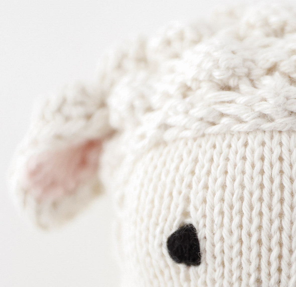 Baby lamb
