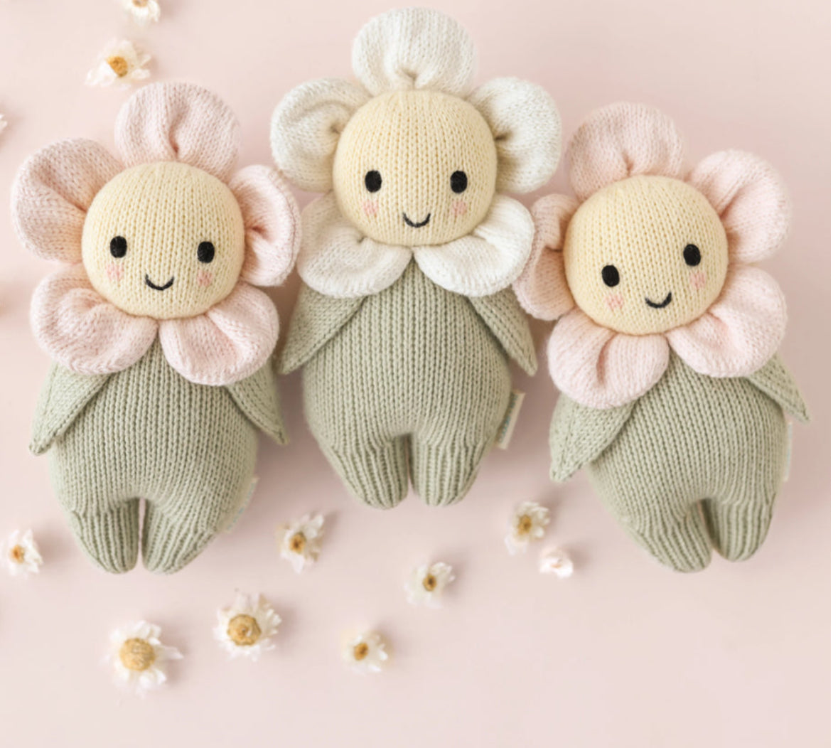 Baby daisy (blush pink)