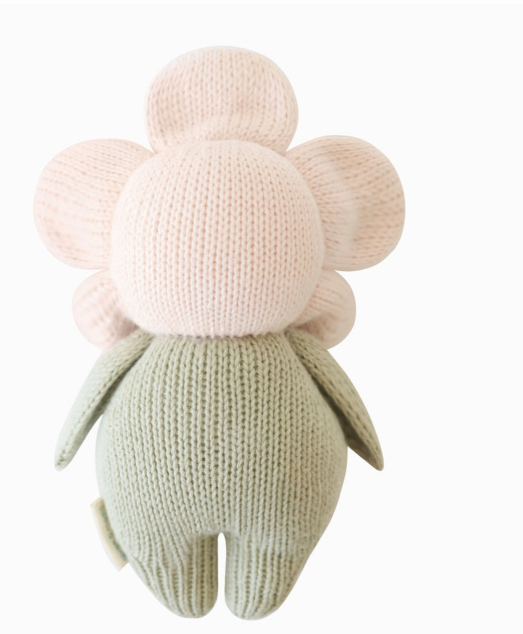 Baby daisy (blush pink)