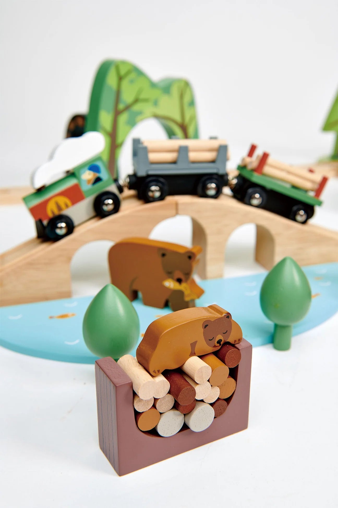 Pista de tren forestal