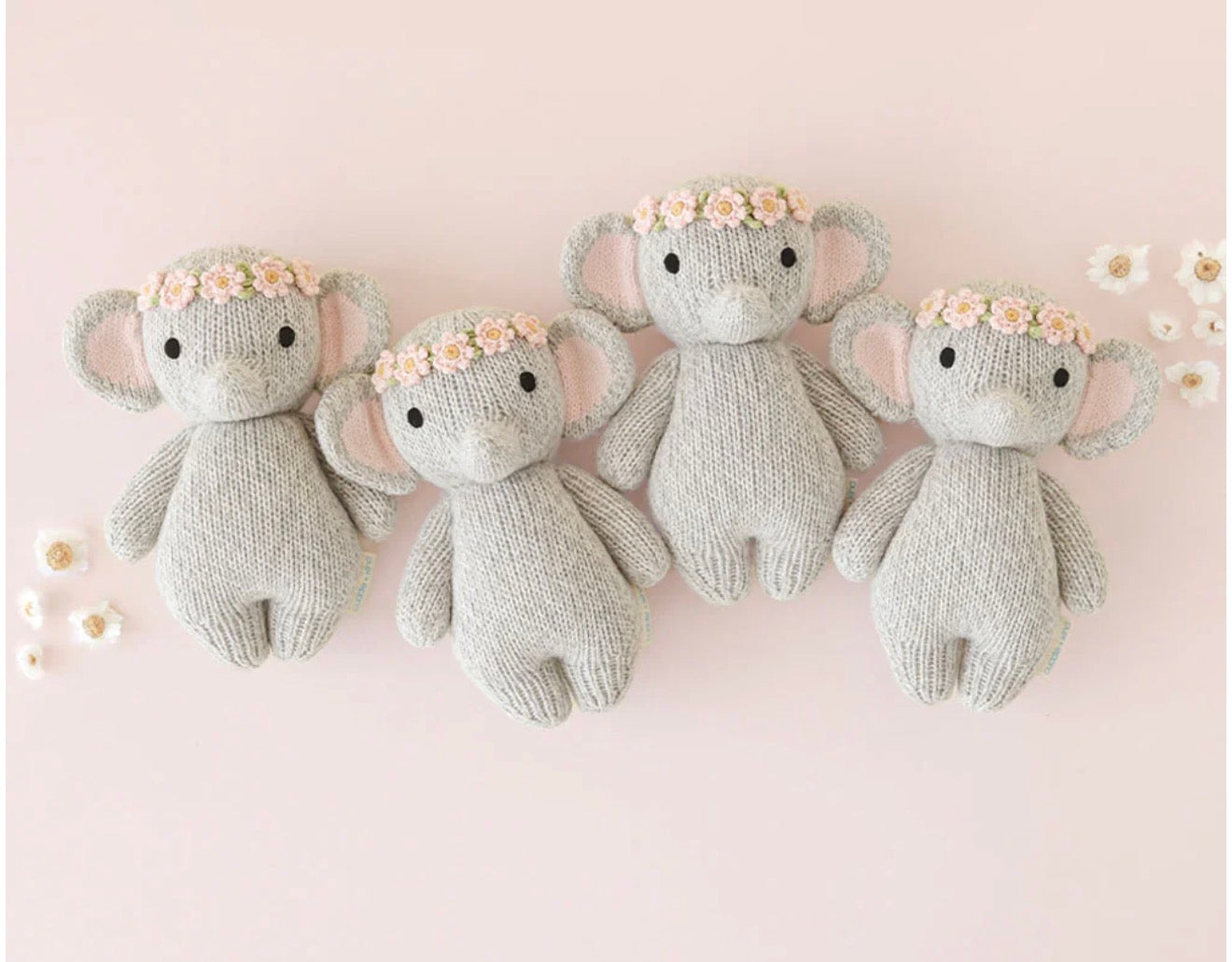 Baby elephant (blush floral)